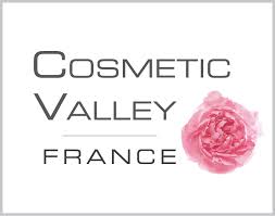 images.cosmetic valley